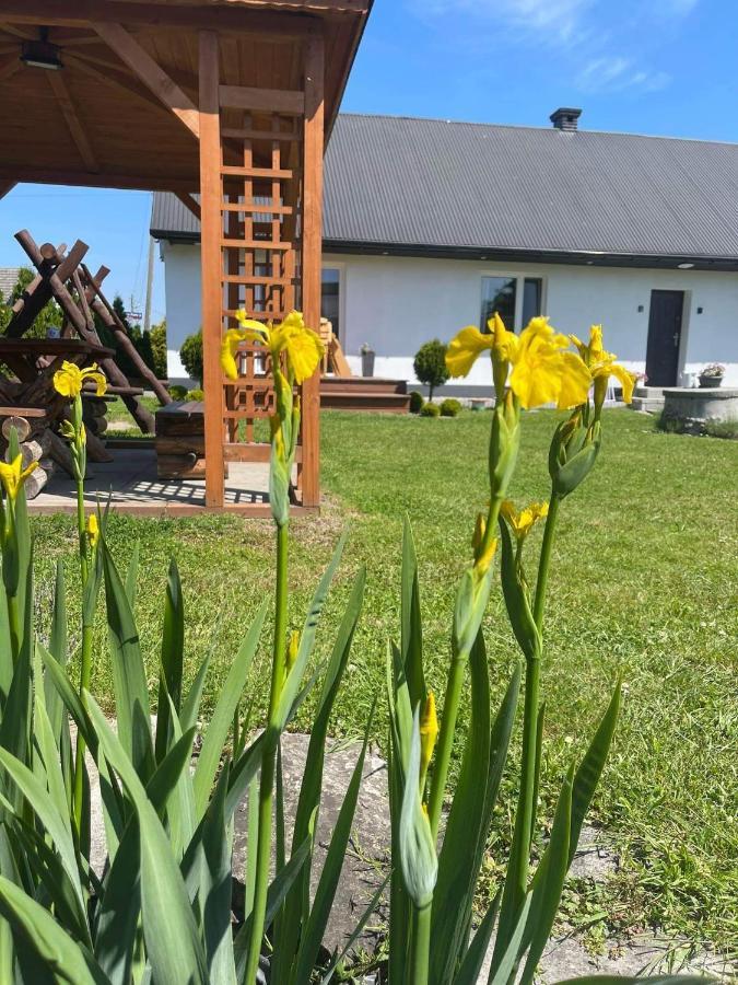 Вілла Pokoje Kama Затор Екстер'єр фото